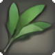 Bog Sage - Reagents - Items