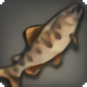 Calico Trout - Fish - Items