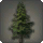 Cedar Tree - Furnishings - Items