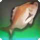 Dravanian Bream - Fish - Items