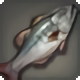 Everdark Bass - Fish - Items