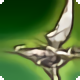 Little Flirt - Fish - Items
