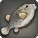 Metallic Boxfish - Fish - Items