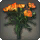 Orange Carnations - New Items in Patch 5.4 - Items