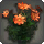 Orange Cosmos - New Items in Patch 5.3 - Items