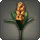 Orange Hyacinths - New Items in Patch 5.2 - Items