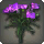 Purple Carnations - Miscellany - Items