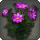 Purple Cosmos - New Items in Patch 5.3 - Items