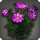 Purple Cosmos - Miscellany - Items