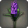 Purple Hyacinths - New Items in Patch 5.2 - Items