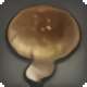 Rarefied Shiitake Mushroom - Miscellany - Items