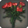 Red Carnations - Miscellany - Items