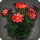 Red Cosmos - Miscellany - Items
