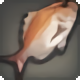 Rosy Bream - Fish - Items