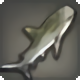 Thavnairian Shark - Fish - Items