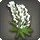 White Lupin Corsage - Helms, Hats and Masks Level 1-50 - Items