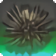 Wild Urchin - Fish - Items