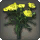 Yellow Carnations - Miscellany - Items