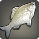 Abalathian Bitterling - Fish - Items