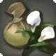 Arum Bulbs - Gardening - Items