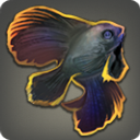 Bashful Batfish - Fish - Items