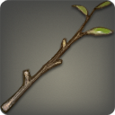 Beech Branch - Rawwood - Items