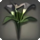 Black Arums - Miscellany - Items