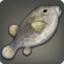 Black Boxfish - Fish - Items