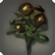 Black Dahlias - New Items in Patch 4.3 - Items