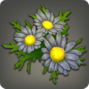 Black Daisy Corsage - New Items in Patch 4.01 - Items