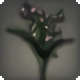 Black Lilies of the Valley - Miscellany - Items