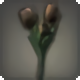 Black Tulips - New Items in Patch 4.2 - Items