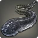 Blackfin Snake Eel - Fish - Items