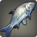 Blue-fish - Fish - Items