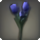 Blue Tulips - Miscellany - Items