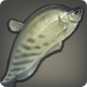 Bowfish - Fish - Items