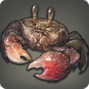 Broken Crab - Fish - Items