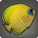Butterfly Fish - Fish - Items