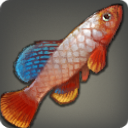 Cave Killifish - Fish - Items