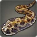 Coeurl Snake Eel - Fish - Items