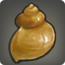Common Whelk - Fish - Items