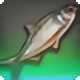 Corpse Chub - Fish - Items