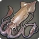 Daio Squid - Fish - Items