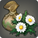 Daisy Seeds - Gardening - Items