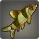 Dawn Herald - Fish - Items