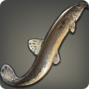 Death Loach - Fish - Items