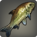 Doman Grass Carp - Fish - Items