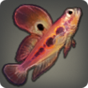 Dry Steppe Skipper - Fish - Items