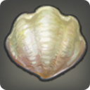Fan Clam - Fish - Items