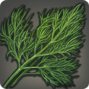 Fennel - Ingredients - Items